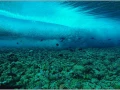 Vague photographiée sous la surface en Mer Rouge en Egypte.