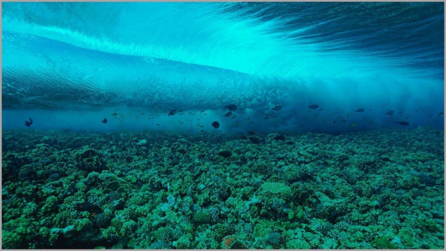 Wave photographed under the surface in the Red Sea in Egypt. Wave photographed under the surface in the Red Sea in Egypt.
