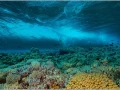 Vague photographiée sous la surface en Mer Rouge en Egypte.