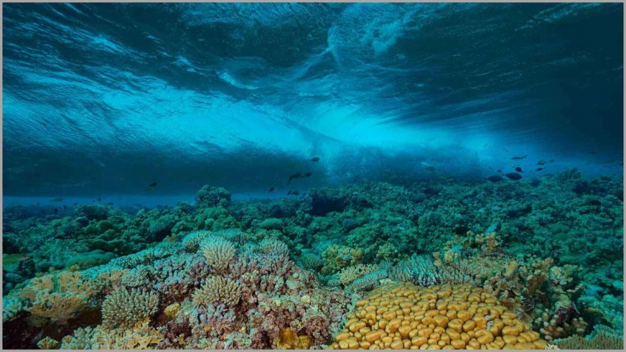 Wave photographed under the surface in the Red Sea in Egypt. Wave photographed under the surface in the Red Sea in Egypt.