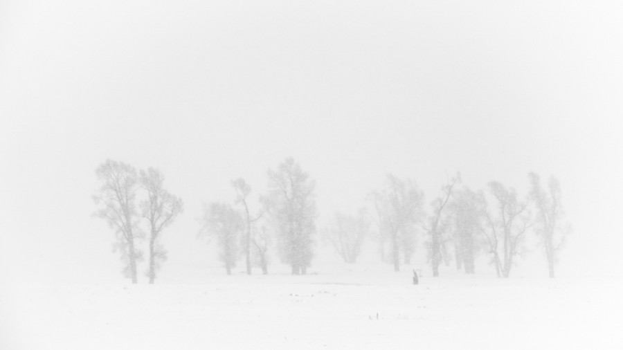 Snowy landscape of yellowstone in winter. Snowy landscape of yellowstone in winter.
