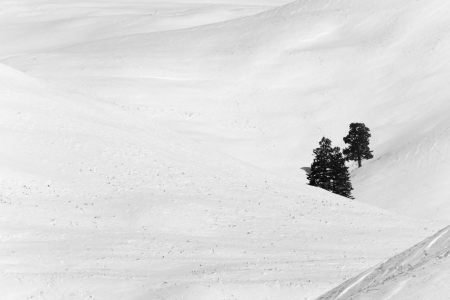 Snowy landscape of yellowstone in winter. Snowy landscape of yellowstone in winter.