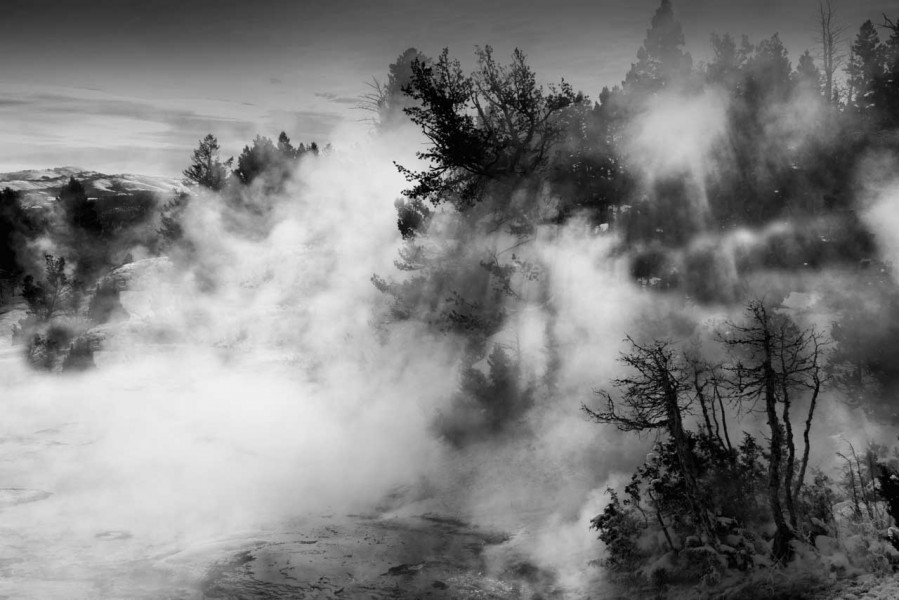Snowy landscape of yellowstone in winter. Snowy landscape of yellowstone in winter.