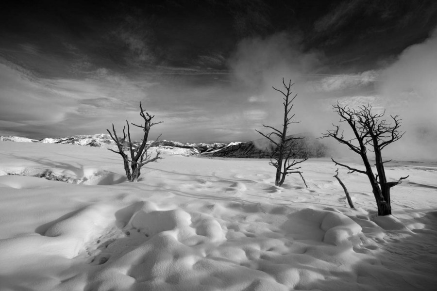 Snowy landscape of yellowstone in winter. Snowy landscape of yellowstone in winter.