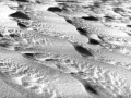 Dunes dans la vallée de la mort en Californie en noir et blanc.