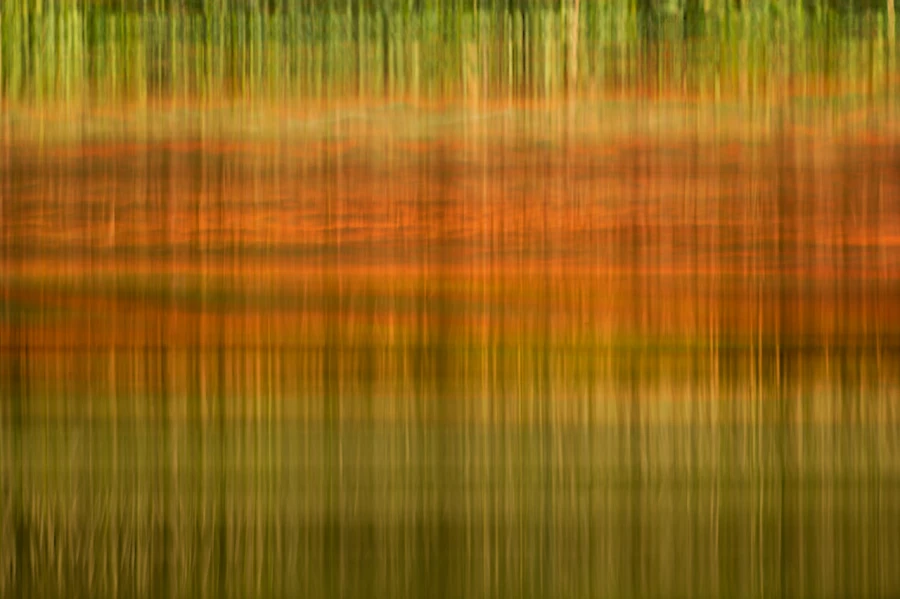 Reflections d'arbres à la surface de l'eau sur un étang. Reflections d'arbres à la surface de l'eau sur un étang.