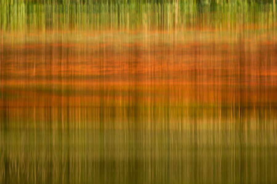 Reflections d'aReflections of trees on the surface of the water Reflections d'aReflections of trees on the surface of the water