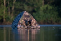 Gallery wall photos floating blind 