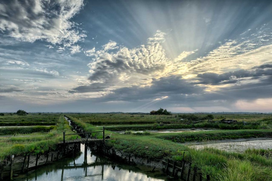 Stages photo de paysages en Charente-Maritime avec Amar Guillen, Stages photo de paysages en Charente-Maritime avec Amar Guillen,