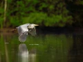 Photos des stagiaires pendant des stages de photo animalière av
