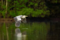 Gallery of Pictures Participants Wildlife Workshops