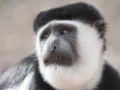 Photos des stagiaires pendant des stages de photo animalière av