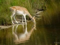 Photos des stagiaires pendant des stages de photo animalière av