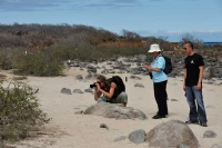 Gallery wall photos landscape photo workshop