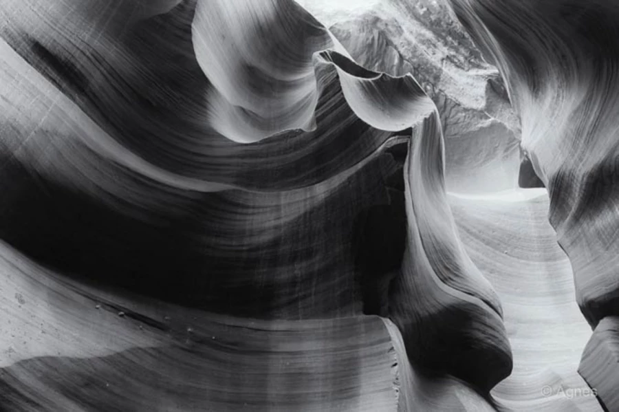 Photos of trainees during landscape photo workshops with Amar Gu