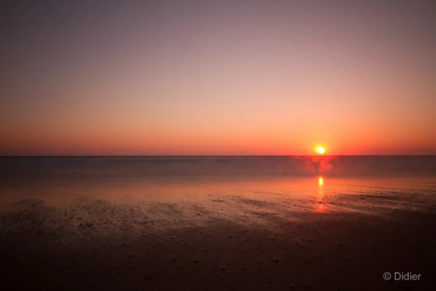 Photos of trainees during landscape photo workshops with Amar Gu
