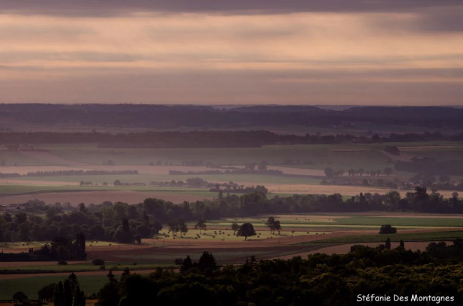 Photos of trainees during landscape photo workshops with Amar Gu