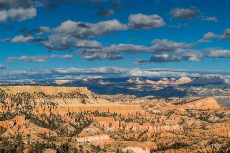 Photos of trainees during landscape photo workshops with Amar Gu