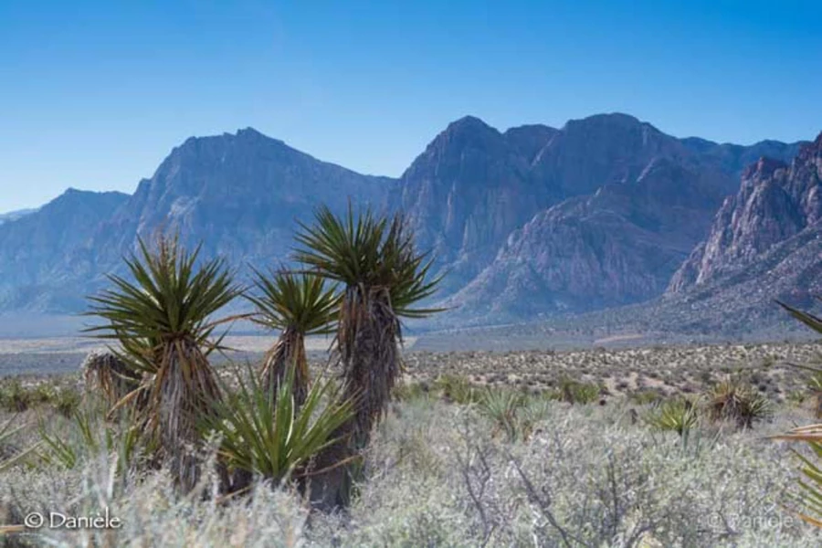 Photos of trainees during landscape photo workshops with Amar Gu