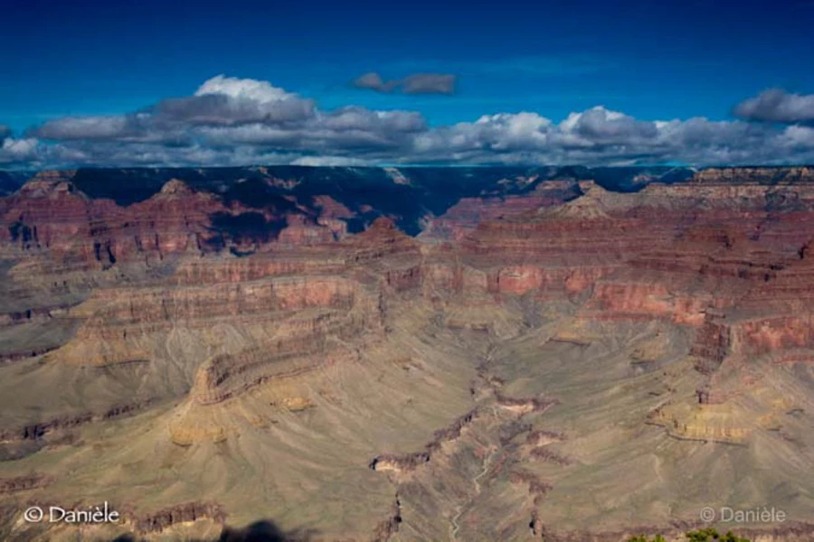 Photos of trainees during landscape photo workshops with Amar Gu