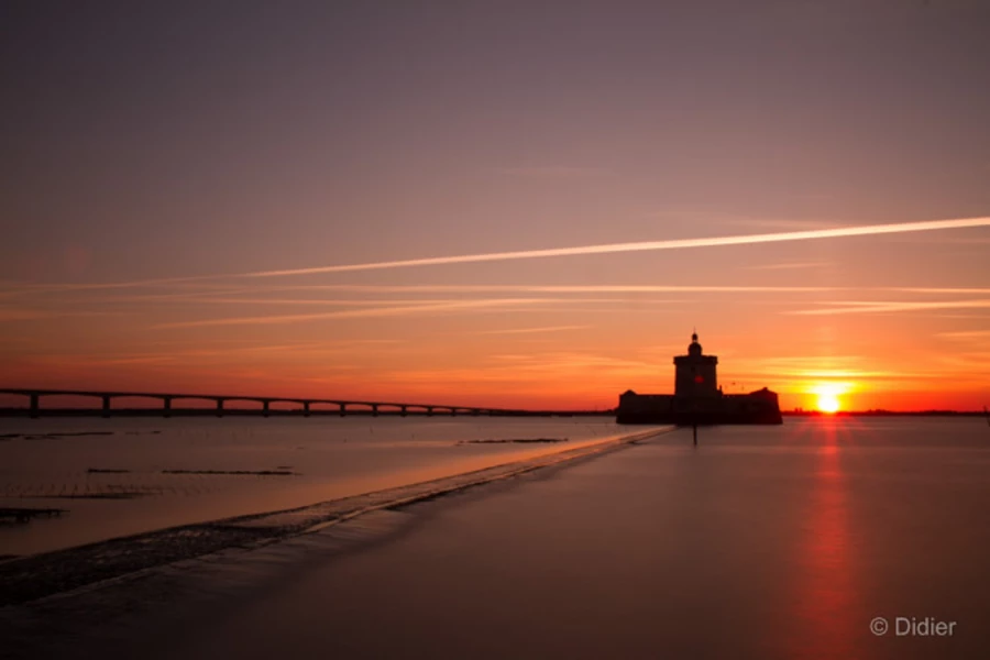 Photos of trainees during landscape photo workshops with Amar Gu