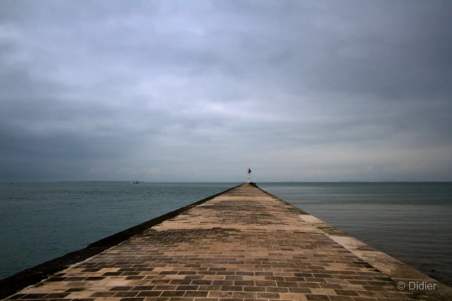 Photos of trainees during landscape photo workshops with Amar Gu