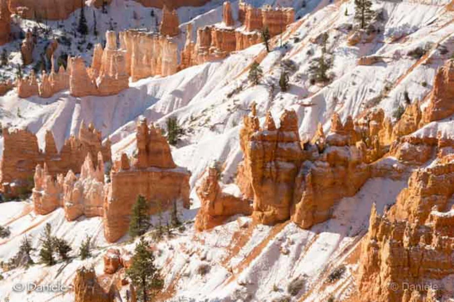 Photos of trainees during landscape photo workshops with Amar Gu