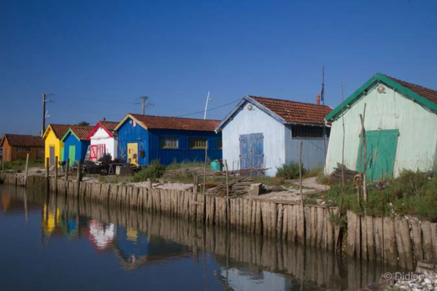 Photos of trainees during landscape photo workshops with Amar Gu