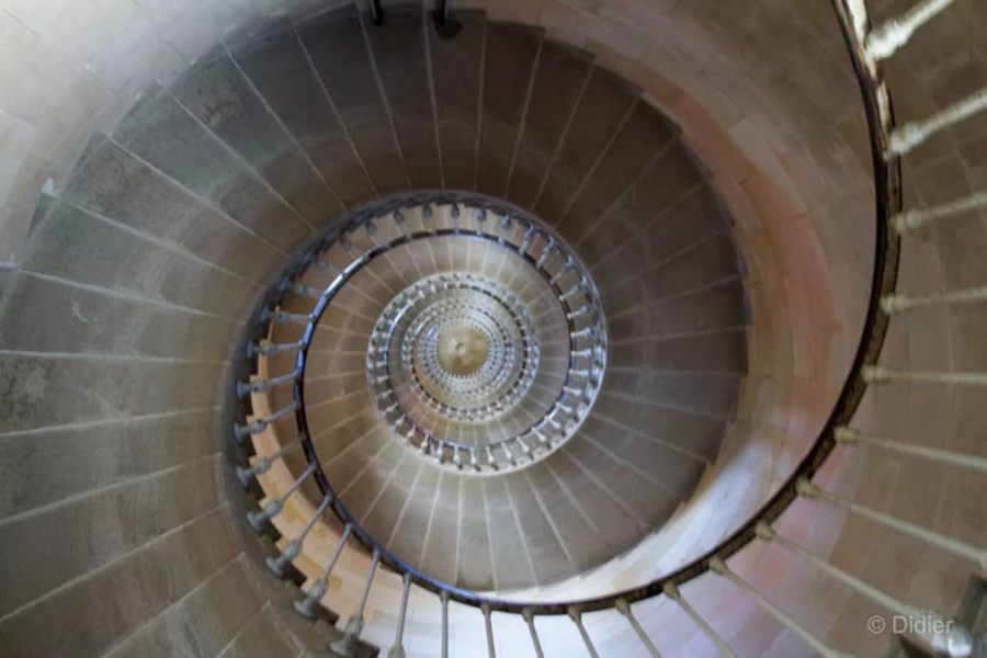 Photos of trainees during landscape photo workshops with Amar Gu