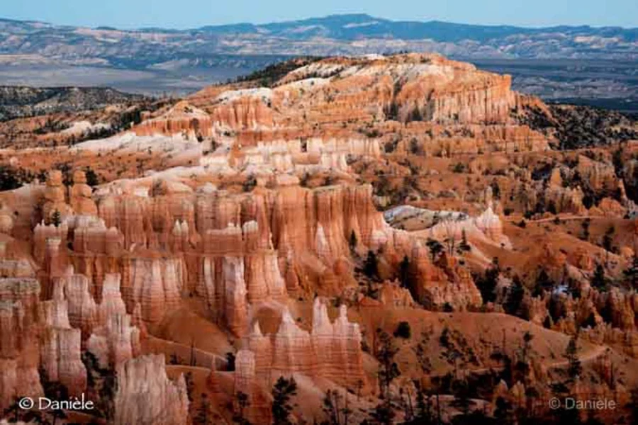 Photos of trainees during landscape photo workshops with Amar Gu