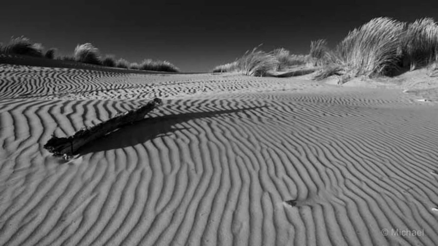 Photos of trainees during landscape photo workshops with Amar Gu