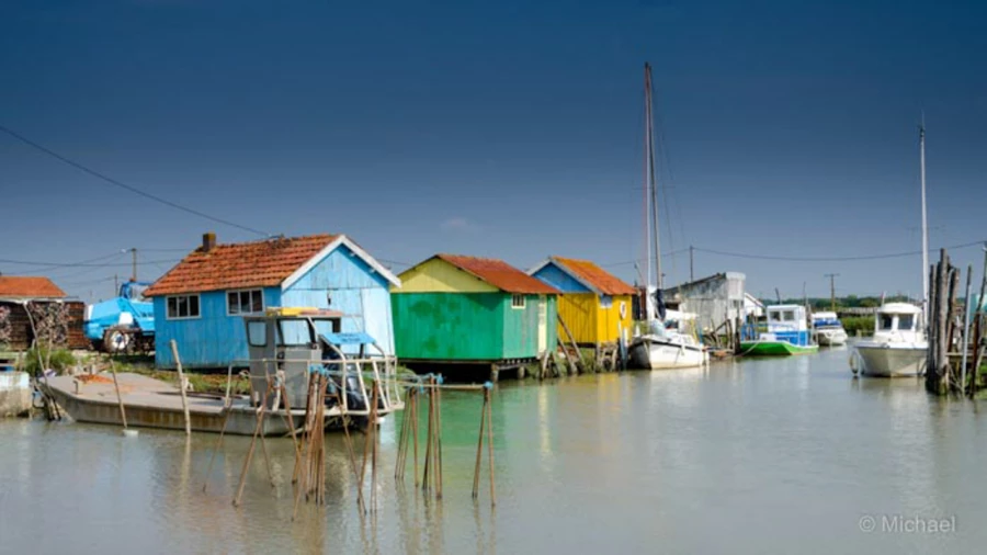 Photos of trainees during landscape photo workshops with Amar Gu