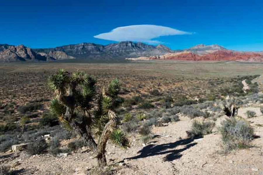 Photos of trainees during landscape photo workshops with Amar Gu