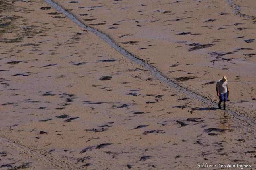 Photos of trainees during landscape photo workshops with Amar Gu