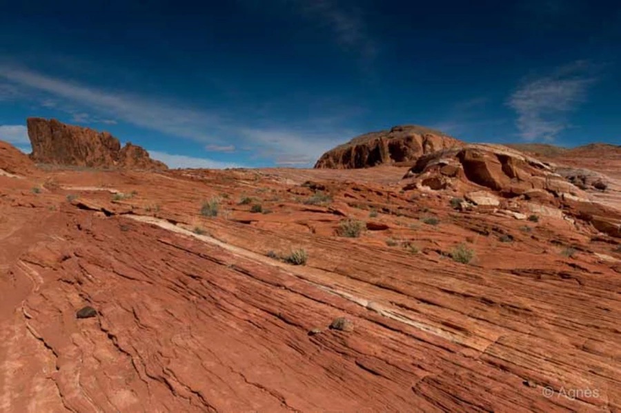 Photos of trainees during landscape photo workshops with Amar Gu