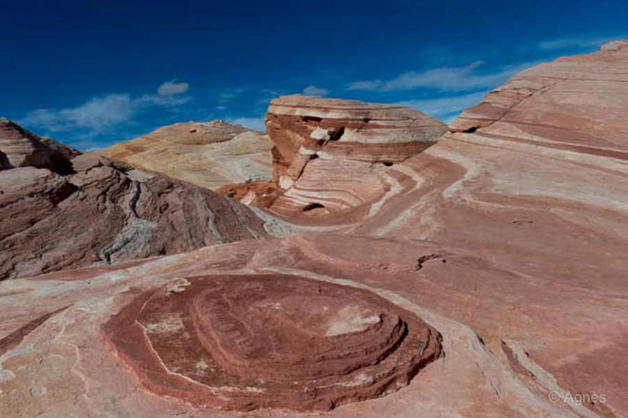 Photos of trainees during landscape photo workshops with Amar Gu