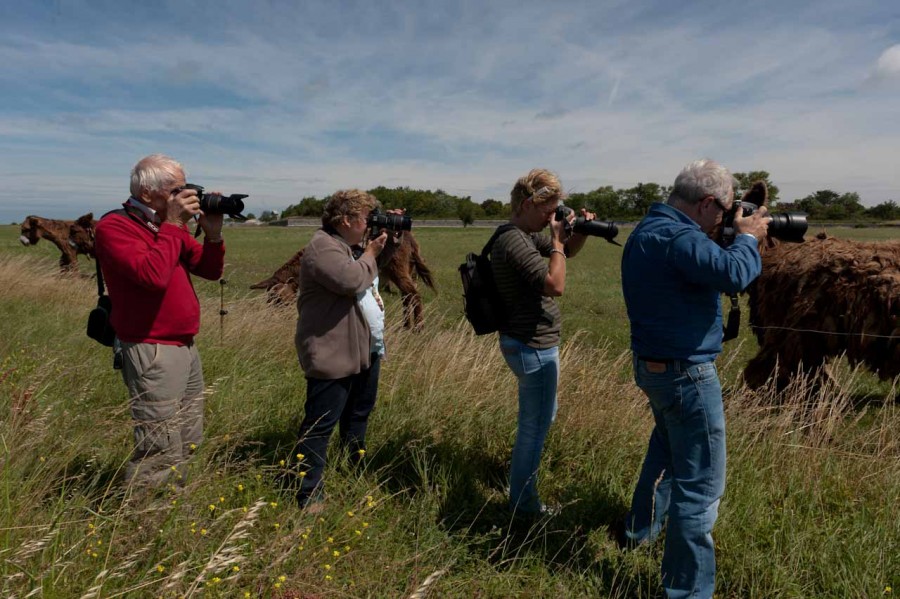 Ambiance des stages photo paysages avec Amar Guillen, Photograph Ambiance des stages photo paysages avec Amar Guillen, Photograph