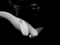 Regard de poisson par Amar Guillen, Artiste photographe.