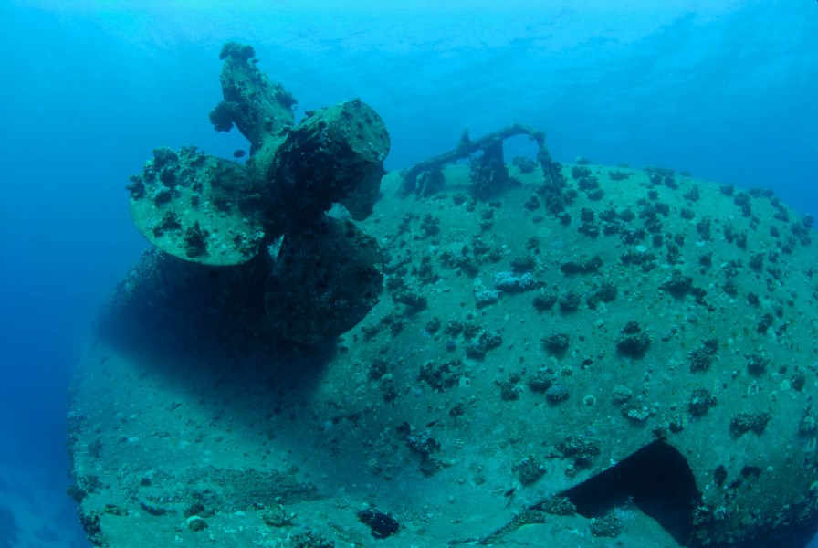 L'épave du Salem Express à Safaga en Mer Rouge en Egypte Amar L'épave du Salem Express à Safaga en Mer Rouge en Egypte Amar
