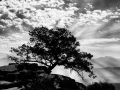 Photo de paysage en noir et blanc par  Amar Guillen, Artiste pho