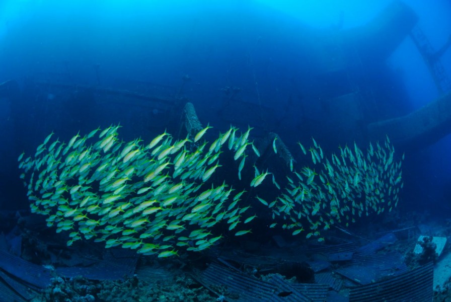 Wreck of Salem Express in Safaga Red Sea in Egypt by Amar Guille Wreck of Salem Express in Safaga Red Sea in Egypt by Amar Guille