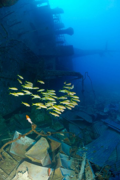 Wreck of Salem Express in Safaga Red Sea in Egypt by Amar Guille Wreck of Salem Express in Safaga Red Sea in Egypt by Amar Guille