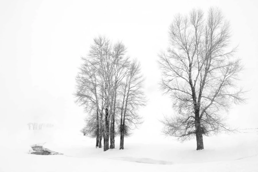 Photo de paysage en noir et blanc par Amar Guillen, Artiste pho Photo de paysage en noir et blanc par Amar Guillen, Artiste pho