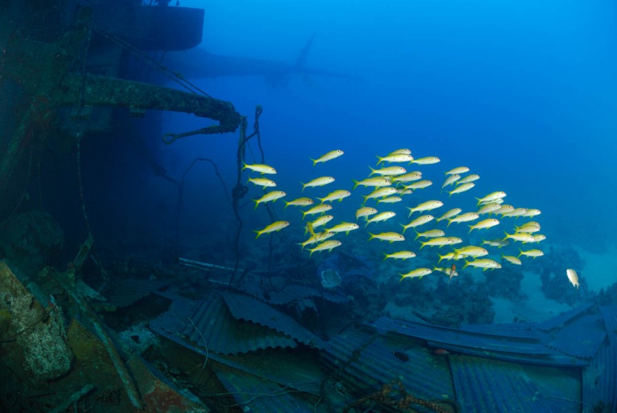 Wreck of Salem Express in Safaga Red Sea in Egypt by Amar Guille Wreck of Salem Express in Safaga Red Sea in Egypt by Amar Guille