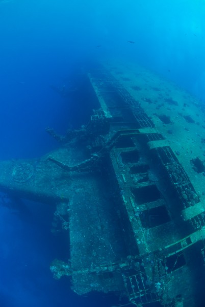 L'épave du Salem Express à Safaga en Mer Rouge en Egypte Amar L'épave du Salem Express à Safaga en Mer Rouge en Egypte Amar