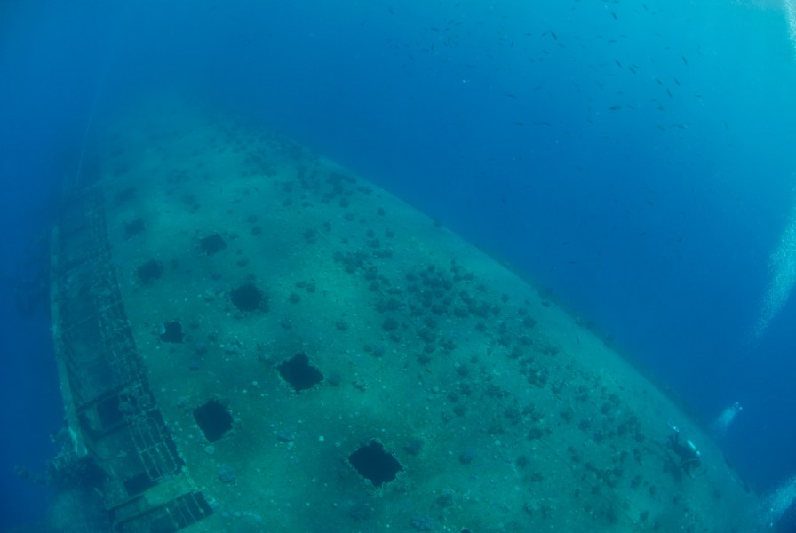 L'épave du Salem Express à Safaga en Mer Rouge en Egypte Amar L'épave du Salem Express à Safaga en Mer Rouge en Egypte Amar