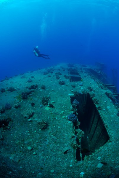 L'épave du Salem Express à Safaga en Mer Rouge en Egypte Amar L'épave du Salem Express à Safaga en Mer Rouge en Egypte Amar