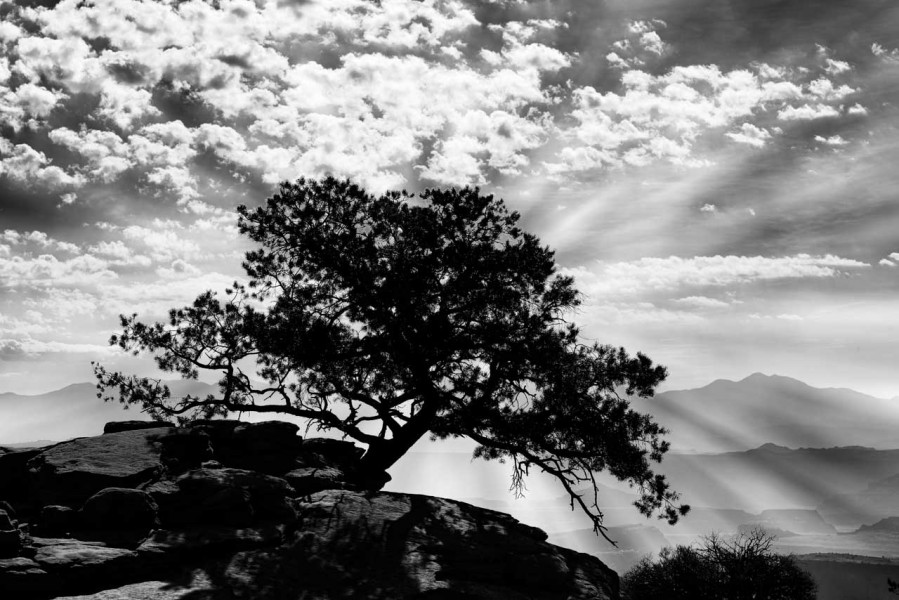 Photograph of a landscape in Black and White by Amar Guillen, ph Photograph of a landscape in Black and White by Amar Guillen, ph