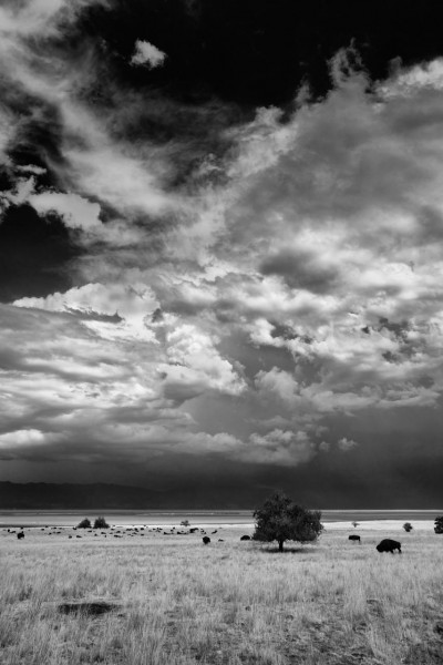 Photograph of a landscape in Black and White by Amar Guillen, ph Photograph of a landscape in Black and White by Amar Guillen, ph
