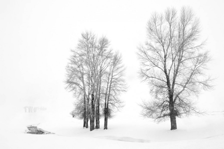 Photograph of a landscape in Black and White by Amar Guillen, ph Photograph of a landscape in Black and White by Amar Guillen, ph